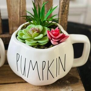 Rae Dunn Pumpkin Mug Succulent Garden